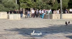 عشرات المستوطنين يقتحمون الأقصى احتفالا "بعيد نزول التوراة"